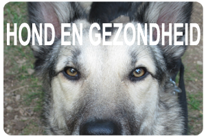 Hond en Gezondheid